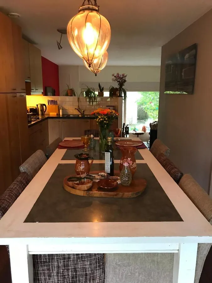 Great House For Two In Amsterdam Bed & Breakfast